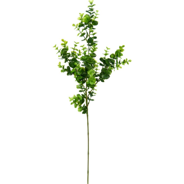 UMĚLÁ KVĚTINA eukalyptus/blahovičník 70 cm